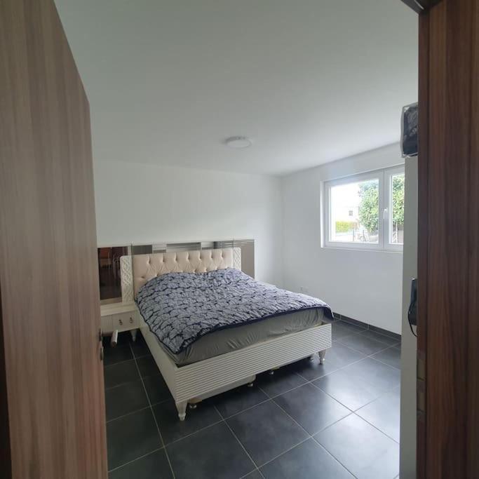 Bel Appartement Rez De Jardin Horbourg Dış mekan fotoğraf